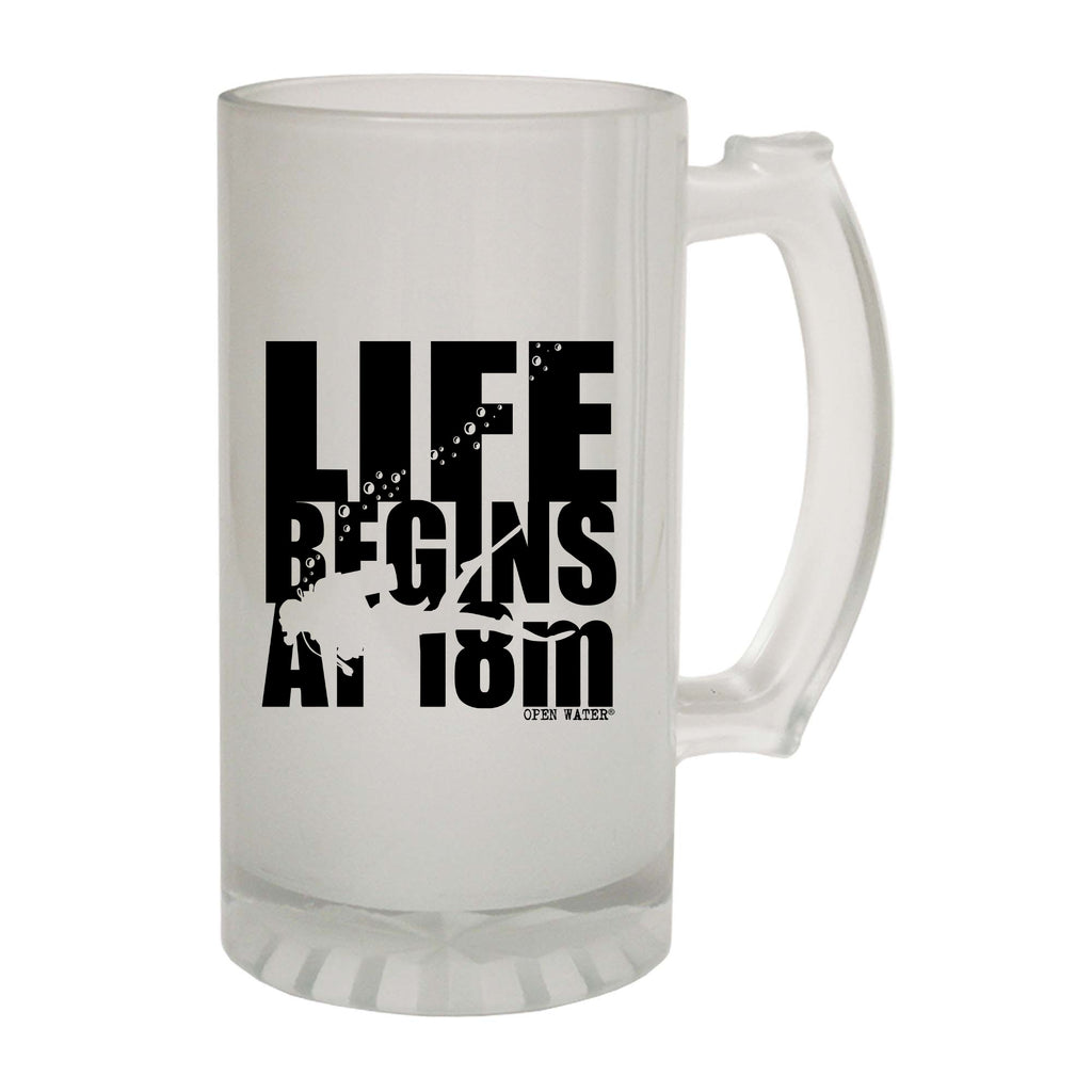 Ow Life Begins At 18M - Funny Beer Stein