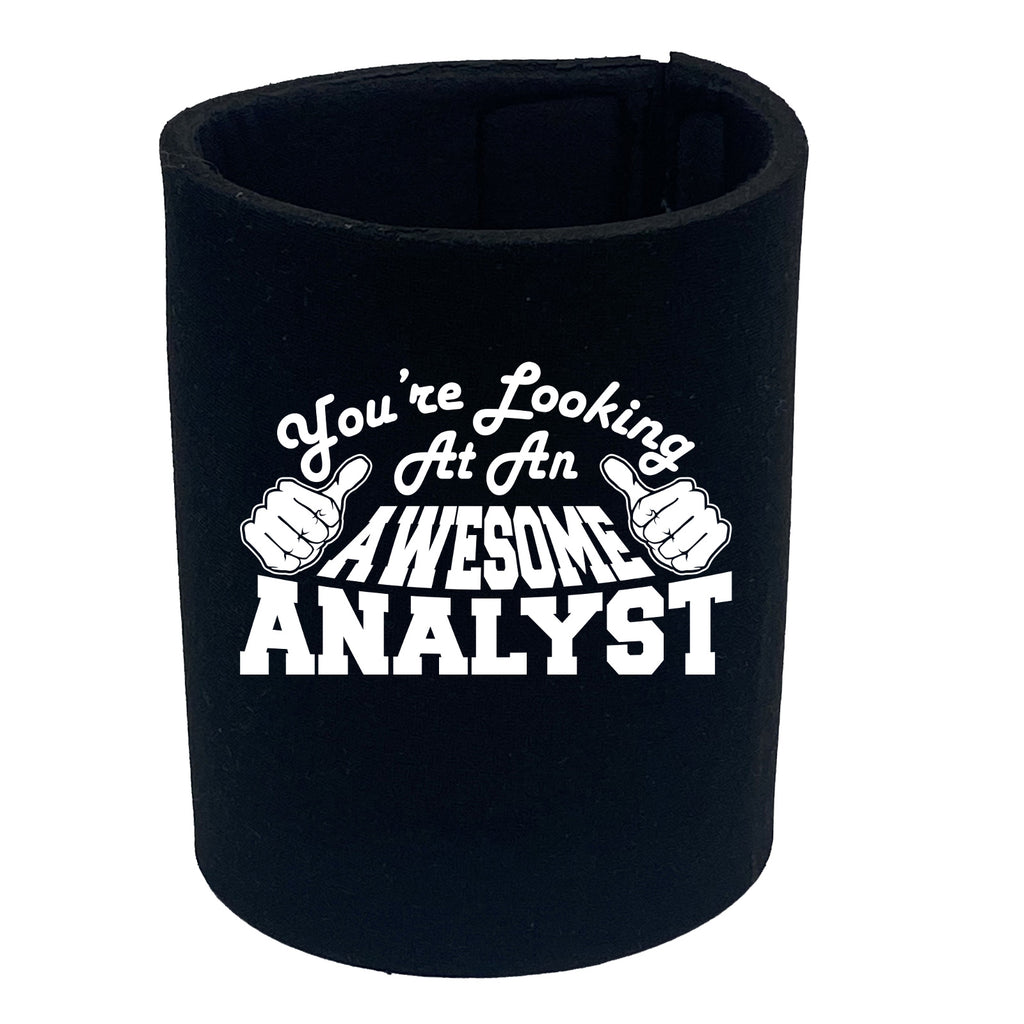 Youre Looking At An Awesome Analyst - Funny Stubby Holder