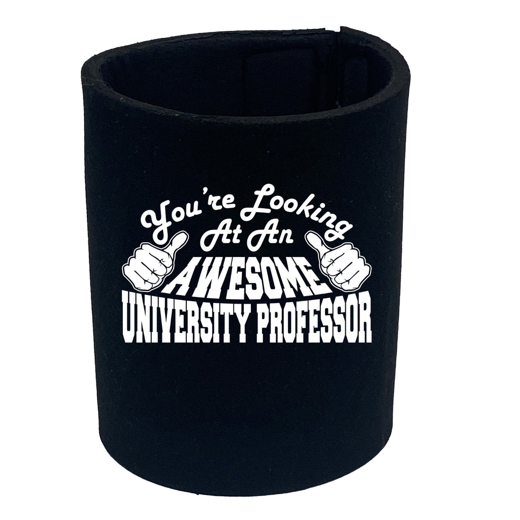 Youre Looking At An Awesome University Professor - Funny Stubby Holder