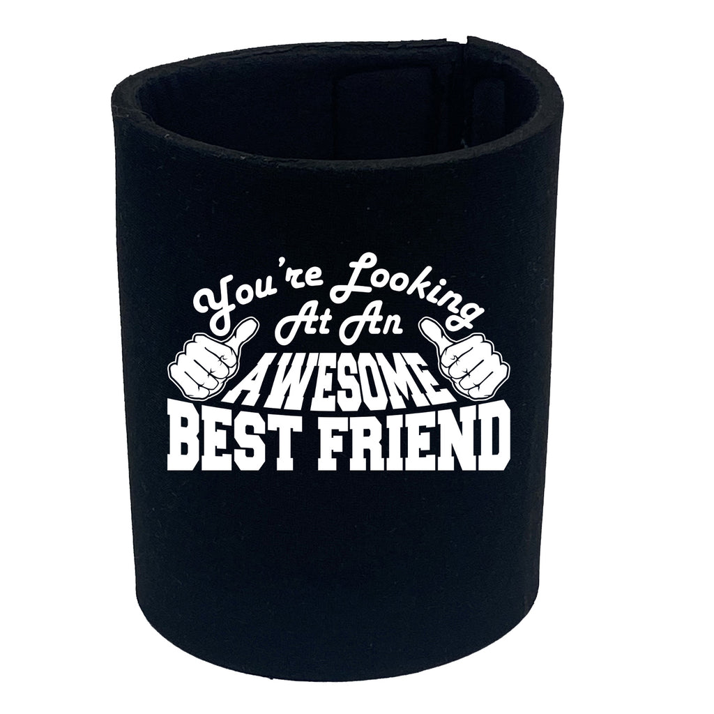 Youre Looking At An Awesome Best Friend - Funny Stubby Holder