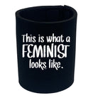 This Is What A Feminist Looks Like - Funny Stubby Holder